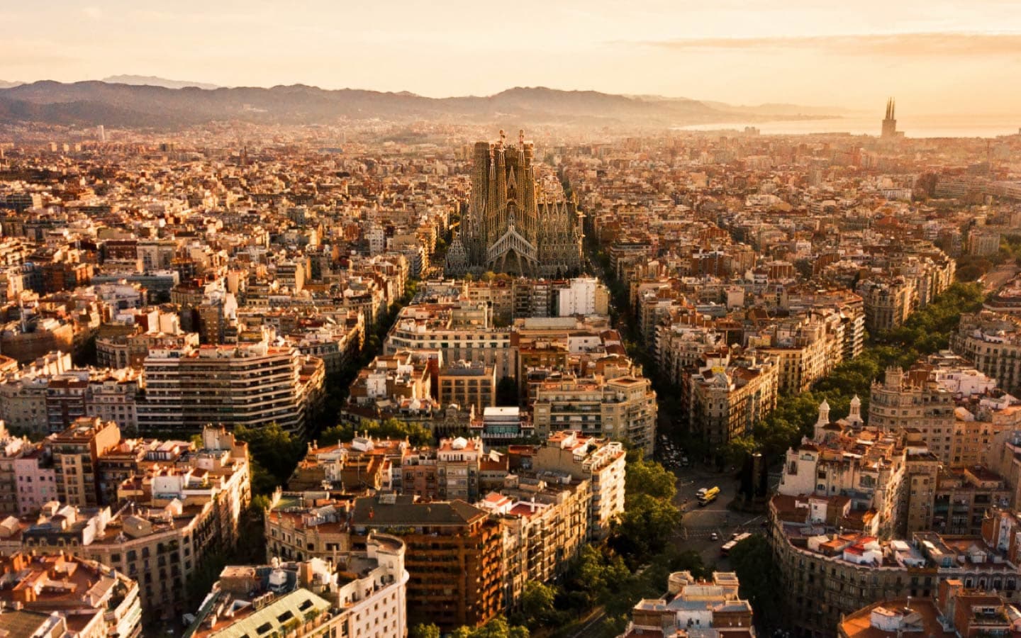 Blaunex - Barcelona