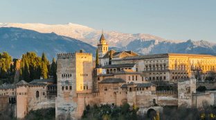 Torres Real Estate Group - Granada