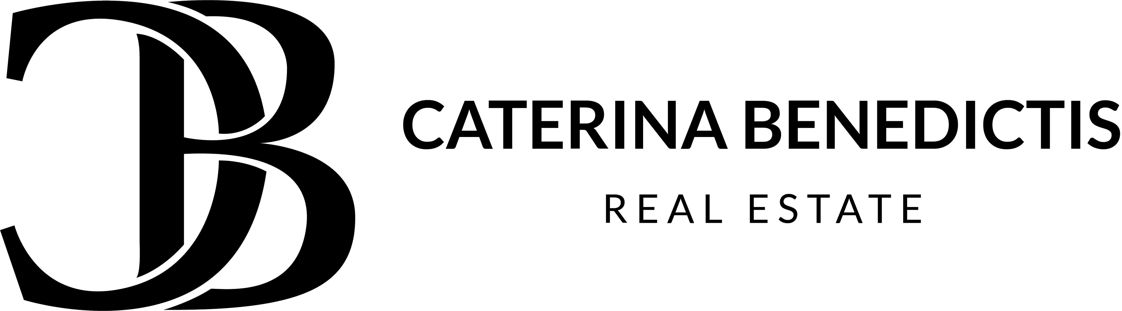 Caterina Benedictis studio immobiliare Torino e provincia agenzia immobiliare - Torino