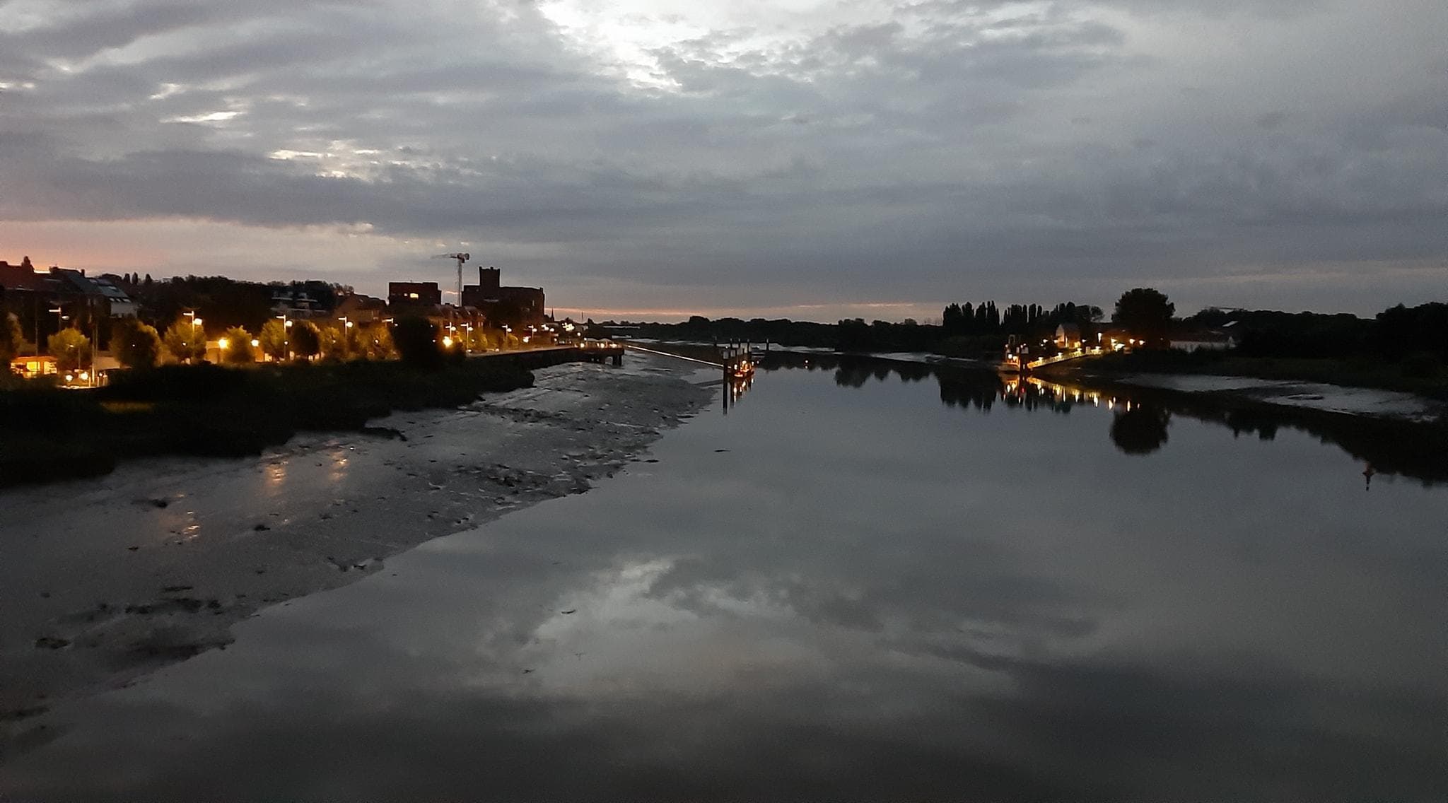 Immo Dillen & Partner BVBA - Boom