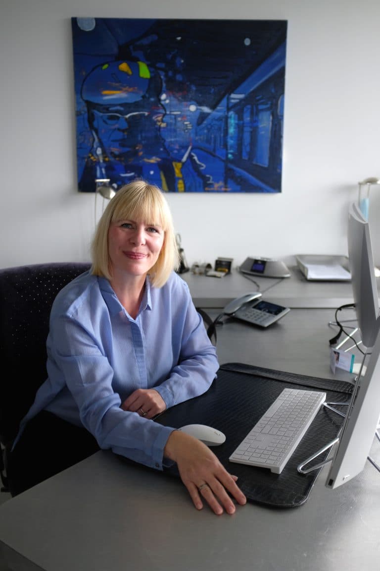 Immobilienhaus in Wiesbaden - Wiesbaden