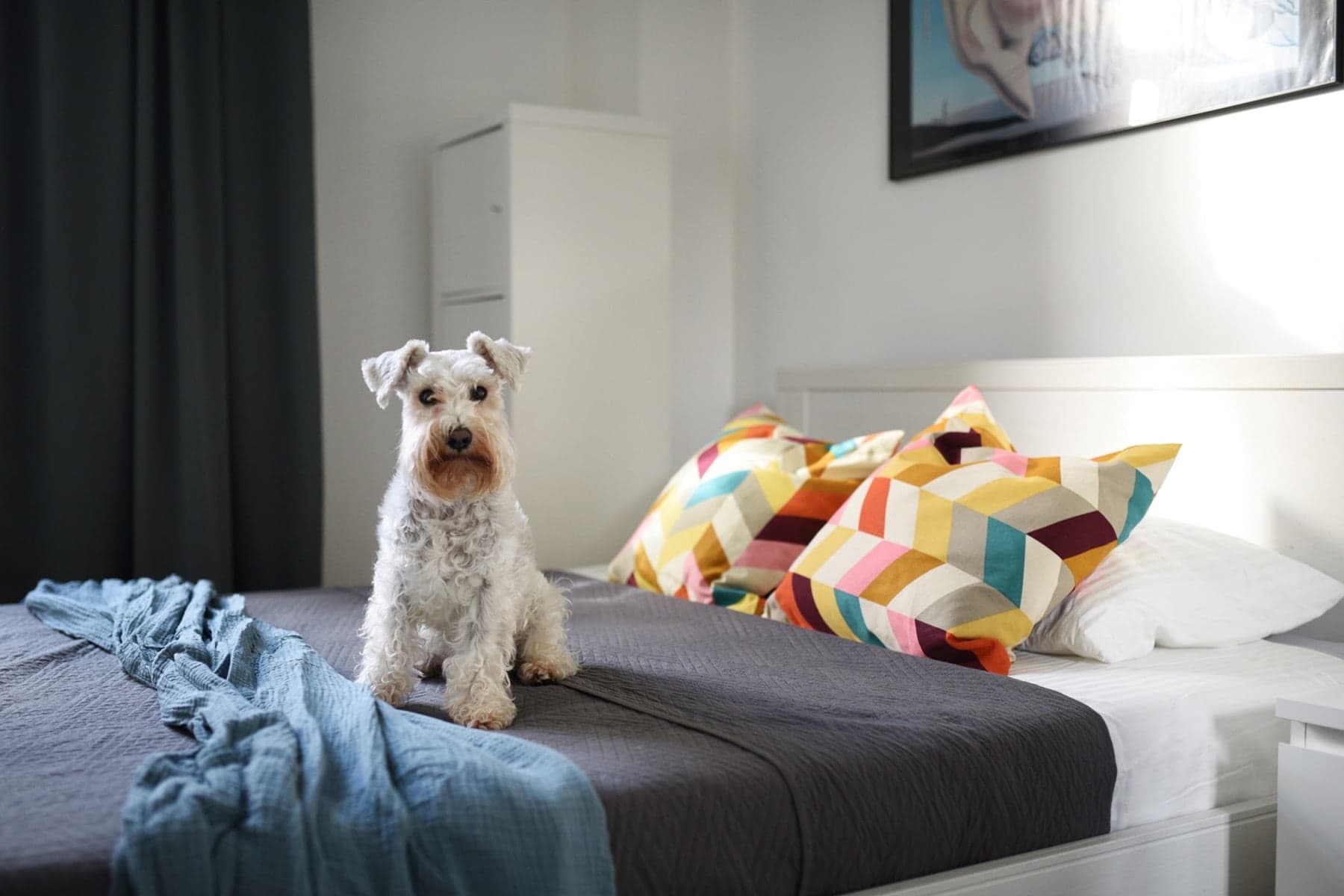 Invest Realty Biuro Nieruchomości Poznań - Poznań