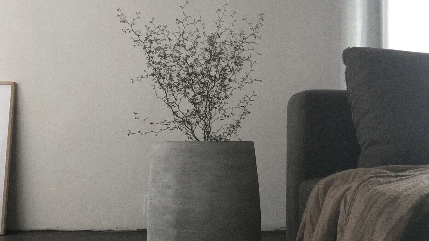 Studio Wabi - Utrecht